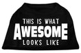Load image into Gallery viewer, Pet Dog & Cat Shirt Screen Printed, "This Is What Awesome Looks Like"
