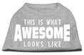 Load image into Gallery viewer, Pet Dog & Cat Shirt Screen Printed, "This Is What Awesome Looks Like"