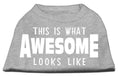 Load image into Gallery viewer, Pet Dog & Cat Shirt Screen Printed, "This Is What Awesome Looks Like"