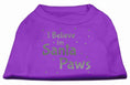 Load image into Gallery viewer, Christmas Pet Shirt, "I Believe In Santa Paws"
