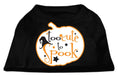 Load image into Gallery viewer, Halloween Pet Dog & Cat Shirt Screen Printed, "Too Cute To Spook"