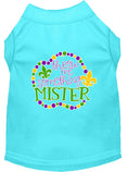 Load image into Gallery viewer, Pet Dog & Cat Shirt Screen Printed, "Throw Me Something Mister"
