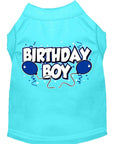 Load image into Gallery viewer, Pet Dog & Cat Shirt Screen Printed, "Birthday Boy"