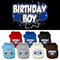Load image into Gallery viewer, Pet, Dog & Cat Hoodie Screen Printed, "Birthday Boy"