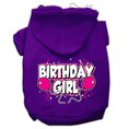 Load image into Gallery viewer, Pet Hoodie "Birthday Girl"
