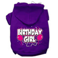 Load image into Gallery viewer, Pet Hoodie "Birthday Girl"