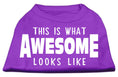 Load image into Gallery viewer, Pet Dog & Cat Shirt Screen Printed, "This Is What Awesome Looks Like"