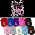 Load image into Gallery viewer, Pet Hoodie "All About That XOXO"