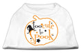 Load image into Gallery viewer, Halloween Pet Dog & Cat Shirt Screen Printed, "Too Cute To Spook"