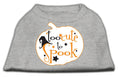 Load image into Gallery viewer, Halloween Pet Dog & Cat Shirt Screen Printed, "Too Cute To Spook"