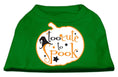 Load image into Gallery viewer, Halloween Pet Dog & Cat Shirt Screen Printed, "Too Cute To Spook"