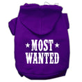 Load image into Gallery viewer, Pet Hoodie "Most Wanted"