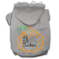 Load image into Gallery viewer, Halloween Pet Hoodie Screen Printed, "Lil Punkin"