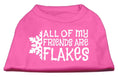 Load image into Gallery viewer, Christmas Screenprinted Dog Shirt, "All My Friends Are Flakes"