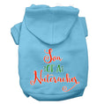 Load image into Gallery viewer, Christmas Pet Hoodie Screen Printed, "Son Of A Nutcracker"