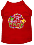 Load image into Gallery viewer, Pet Dog & Cat Shirt Screen Printed, "Throw Me Something Mister"