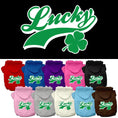 Load image into Gallery viewer, Pet Hoodie "Lucky Swoosh"