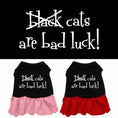 Load image into Gallery viewer, Halloween Pet Dress "Black Cats Are Bad Luck"