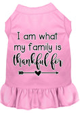 Load image into Gallery viewer, Pet Dress "I Am What My Family Is Thankful For"