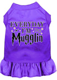 Load image into Gallery viewer, Pet Dress "Everyday I'm Mugglin"