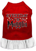 Load image into Gallery viewer, Pet Dress "Everyday I'm Mugglin"