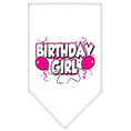 Load image into Gallery viewer, Pet and Dog Bandana Screen Printed, "Birthday Girl -or- "Birthday Boy"