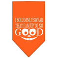 Load image into Gallery viewer, Pet and Dog Bandana, "I Solemnly Swear That I Am Up To No Good"