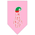 Load image into Gallery viewer, Christmas Pet and Dog Bandana Screen Printed, "I'm The Lazy Elf"