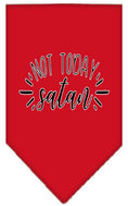 Load image into Gallery viewer, Pet and Dog Bandana Screen Printed, "Not Today Satan"