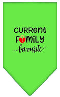 Load image into Gallery viewer, Pet and Dog Bandana Screen Printed, "Family Favorite"
