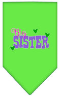 Load image into Gallery viewer, Pet and Dog Bandana Screen Printed, "Big Sister"