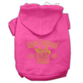 Load image into Gallery viewer, Christmas Pet Hoodie, "Golden Christmas Present"
