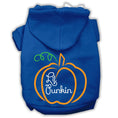 Load image into Gallery viewer, Halloween Pet Hoodie Screen Printed, "Lil Punkin"
