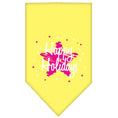 Load image into Gallery viewer, Christmas Pet and Dog Bandana Screen Printed, "Scribble Happy Holidays"
