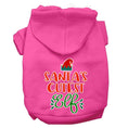 Load image into Gallery viewer, Christmas Pet Hoodie Screen Printed, "Santa's Cutest Elf"