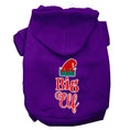 Load image into Gallery viewer, Christmas Pet Hoodie Screen Printed, "Big Elf"