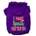 Load image into Gallery viewer, Christmas Pet Hoodie Screen Printed, "I Make Spirits Bright"