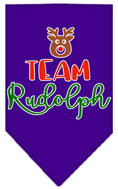 Load image into Gallery viewer, Christmas Pet and Dog Bandana Screen Printed, "Team Rudolph"
