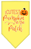 Load image into Gallery viewer, Halloween Pet and Dog Bandana Screen Printed, "Cutest Pumpkin In The Patch"