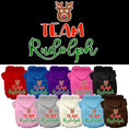 Load image into Gallery viewer, Christmas Pet Hoodie Screen Printed, "Team Rudolph"