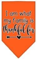 Load image into Gallery viewer, Pet and Dog Bandana Screen Printed, "I Am What My Family Is Thankful For"