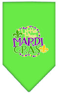 Load image into Gallery viewer, Pet and Dog Bandana Screen Printed, "Little Miss Mardi Gras"