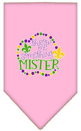 Load image into Gallery viewer, Pet and Dog Bandana Screen Printed, "Throw Me Something Mister"