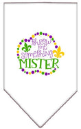 Load image into Gallery viewer, Pet and Dog Bandana Screen Printed, "Throw Me Something Mister"