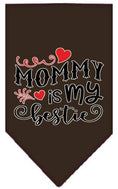 Load image into Gallery viewer, Pet and Dog Bandana Screen Printed, "Mommy Is My Bestie"
