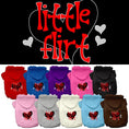 Load image into Gallery viewer, Pet Hoodie "Little Flirt"