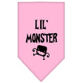 Load image into Gallery viewer, Halloween Pet and Dog Bandana Screen Printed, "Lil Monster"