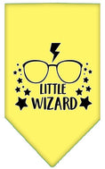 Load image into Gallery viewer, Pet and Dog Bandana Screen Printed, "Little Wizard"