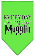 Load image into Gallery viewer, Pet and Dog Bandana Screen Printed, "Everyday I'm Mugglin"