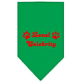 Load image into Gallery viewer, Pet and Dog Bandana Screen Printed, "Local Celebrity"